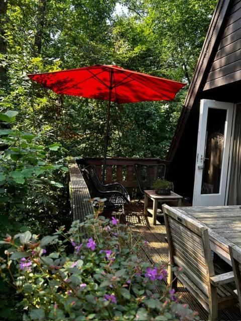 Chalet Woods Durbuy Ngoại thất bức ảnh